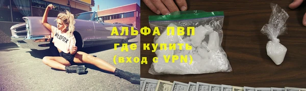 apvp Алзамай