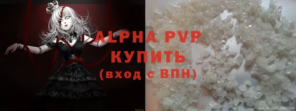 apvp Алзамай