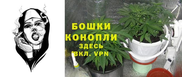 apvp Алзамай