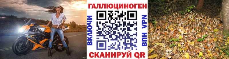Галлюциногенные грибы мицелий Любим